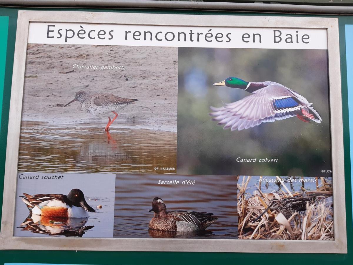 Les Obiones, Vue Laterale Mer, Fort Mahon Plage, Magnifique Studio Cabine 4P, Avec Balcon , Parking Prive Gratuit, Wifi, Classe 2 Etoiles, Exposition Plein Sud En Baie De Somme Ngoại thất bức ảnh