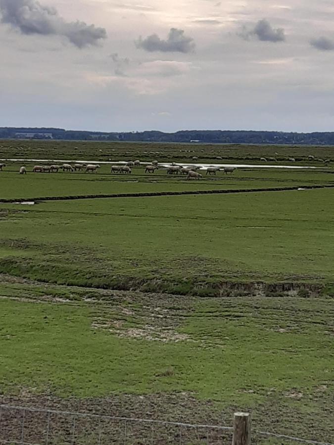 Les Obiones, Vue Laterale Mer, Fort Mahon Plage, Magnifique Studio Cabine 4P, Avec Balcon , Parking Prive Gratuit, Wifi, Classe 2 Etoiles, Exposition Plein Sud En Baie De Somme Ngoại thất bức ảnh